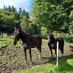 Jizdarna Malenovice (Moravia-Silesia)