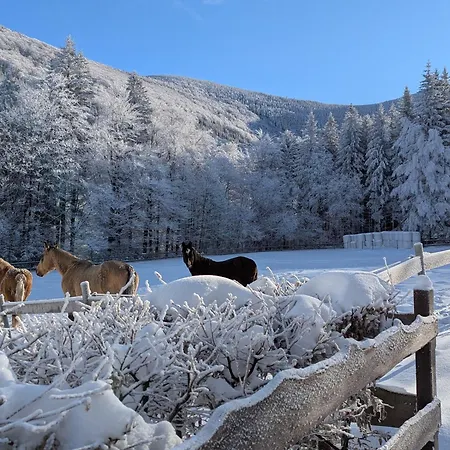 Appartamento Jízdárna Malenovice (Moravia-Silesia)