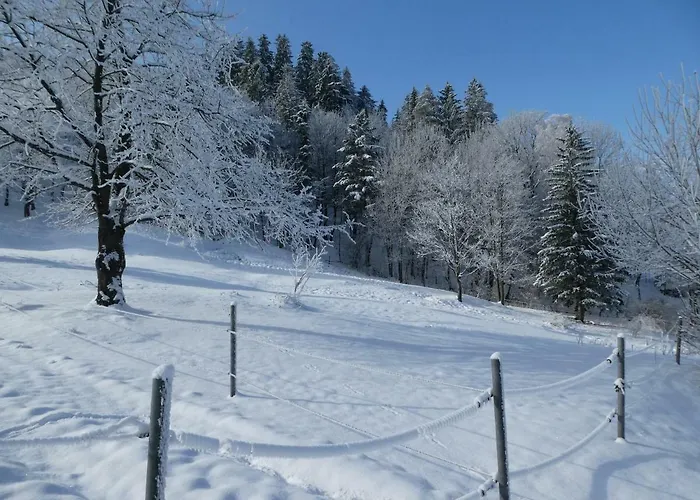 Appartamento Jízdárna *